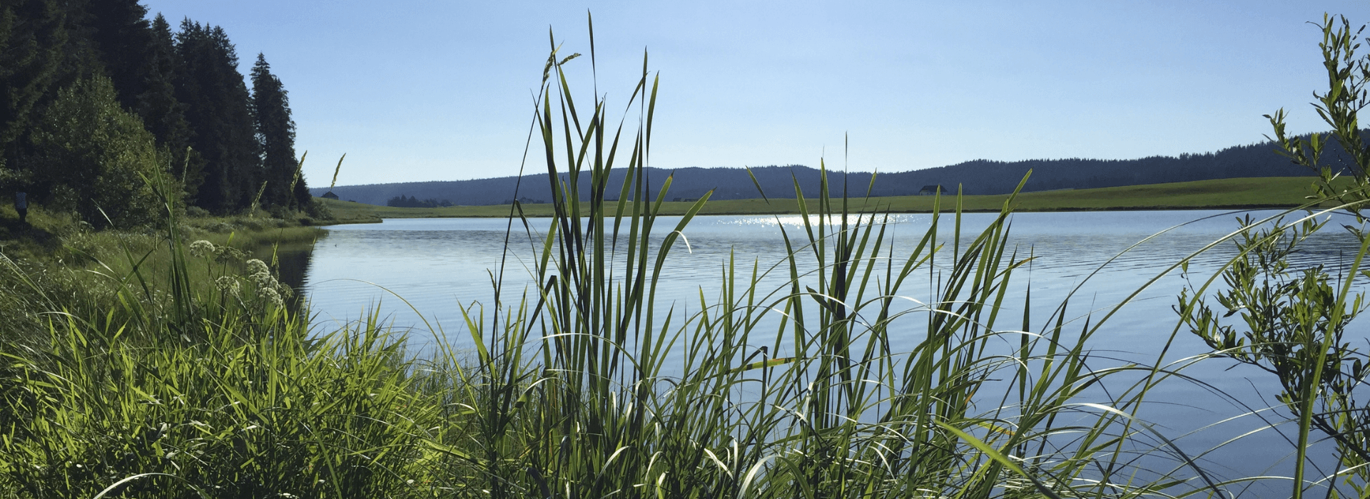 Derecho medioambiental suiza